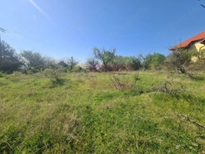 Teren de vanzare in Campina in zona retrasa - imagine 8