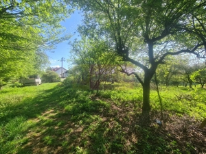 Teren de vanzare in Campina in zona retrasa - imagine 11