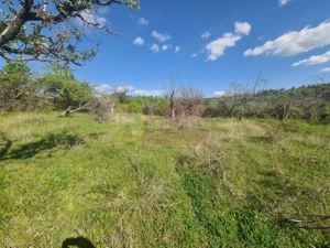 Teren de vanzare in Campina in zona retrasa - imagine 3