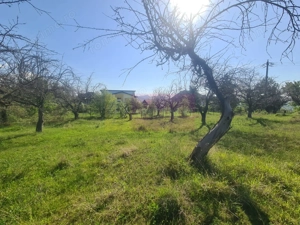 Teren de vanzare in Campina in zona retrasa - imagine 4