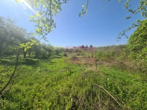 Teren de vanzare in Campina in zona retrasa - imagine 5