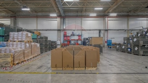 Hală industrială 5.000–12.000 mp de închiriat, Ghimbav - imagine 15