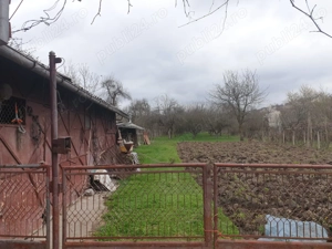 Vand,Inchiriez,Schimb,Casa in Berevoesti Arges - imagine 5