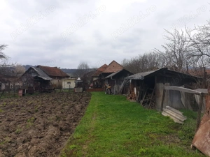 Vand,Inchiriez,Schimb,Casa in Berevoesti Arges - imagine 3