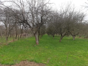 Vand,Inchiriez,Schimb,Casa in Berevoesti Arges - imagine 4