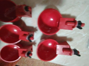 adăpătoare automata păsări  - imagine 3