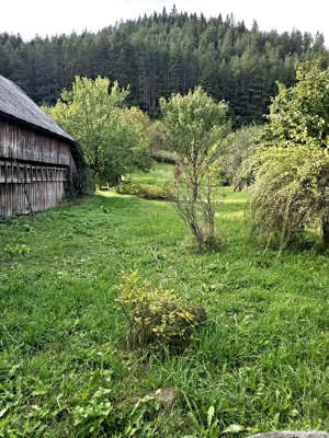 Teren intravilan 2337, utilități, livadă, Grințieș (Neamț) langa Durau - imagine 3