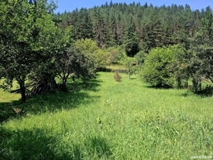 Teren intravilan 2337, utilități, livadă, Grințieș (Neamț) langa Durau