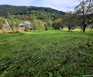 Teren intravilan 2337, utilități, livadă, Grințieș (Neamț) langa Durau