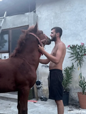 carlana foarte cuminte 