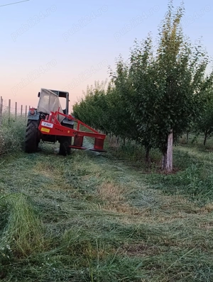 Vand 2 ha livada de pruni sistem intensiv - imagine 4