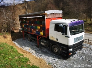 Vând MAN TGA apicol omologat BDF - imagine 2