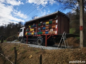 Vând MAN TGA apicol omologat BDF - imagine 7