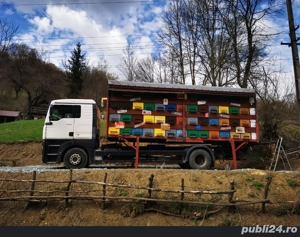 Vând MAN TGA apicol omologat BDF - imagine 6