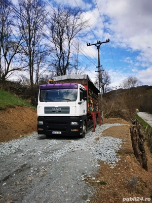 Vând MAN TGA apicol omologat BDF