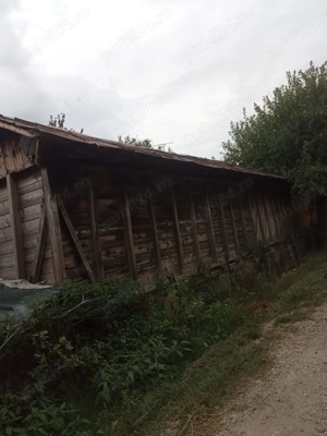 Vând Casă Putineiu Teleorman - imagine 5