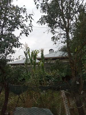 Vând Casă Putineiu Teleorman - imagine 4