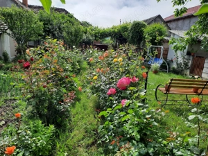 Casa renovata in Galsa, locatie foarte buna, bransamente la toate utilitatile - imagine 3