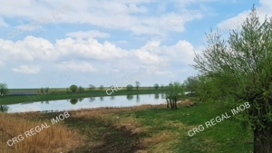 Teren Intravilan rate 12 24 luni Comision 0 Dobanda 0 Comuna Berceni - imagine 3