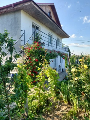 Casă Cataloi in zonă rezidențială 2000mp - imagine 5