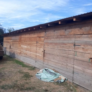 Vând miniferma de strut - imagine 3