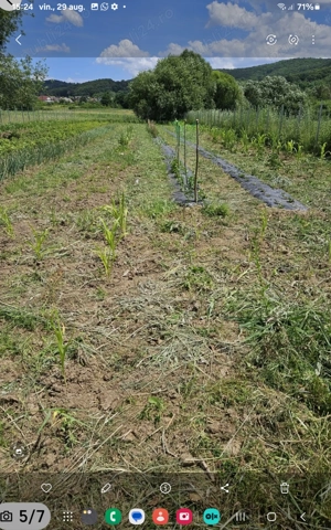Vând tern în Curtea de Argeș  zona liniștită separata de gălăgia urbana  dar și foarte aproape de ca