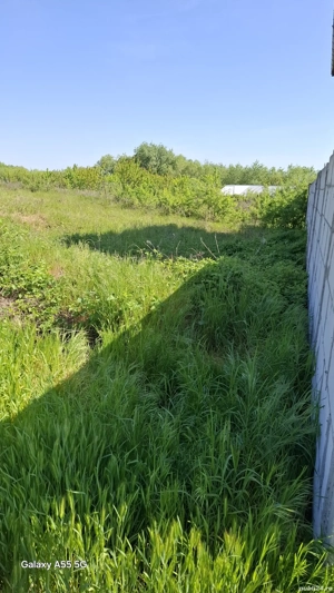 Teren de vânzare 300 mp Budeni comuna Comana  - imagine 6