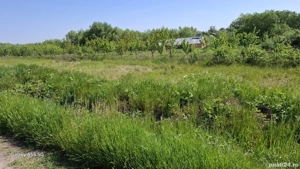 Teren de vânzare 300 mp Budeni comuna Comana  - imagine 5