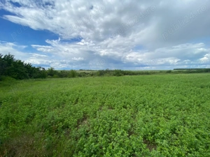 Vând teren intravilan și extravilan  - imagine 2