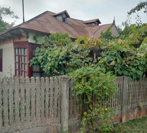Vând casă la ţară, complet utilată, două locuinţe în curte - imagine 5 Vând casă la ţară, complet utilată, două locuinţe în curte - imagine 5