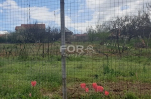 Teren intravilan de vanzare 2537mp, strada Arinului - imagine 3