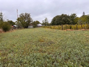 Teren Intravilan + 2 imobile, Suprafata 3600 mp - imagine 6