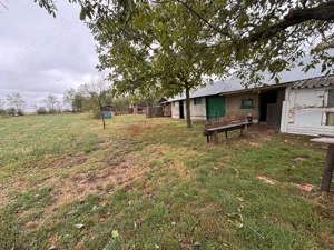 Teren Intravilan + 2 imobile, Suprafata 3600 mp - imagine 5