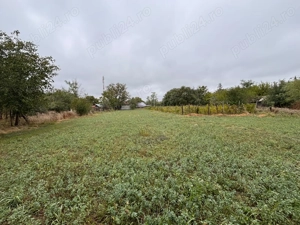 Teren Intravilan + 2 imobile, Suprafata 3600 mp - imagine 7