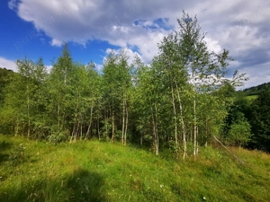Vand Teren Intravilan Rachitele Judetul Cluj