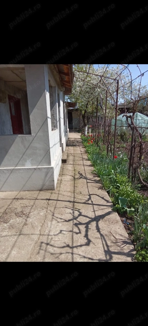 Casa de vanzare, curte 500mp. - imagine 3