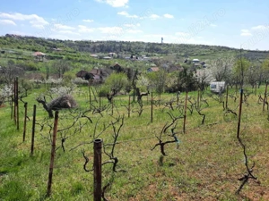 Teren intravilan - Paleu, Bihor - imagine 5