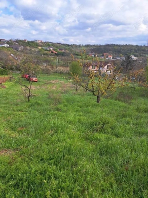 Teren intravilan - Paleu, Bihor - imagine 8