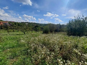 Teren intravilan - Paleu, Bihor - imagine 7