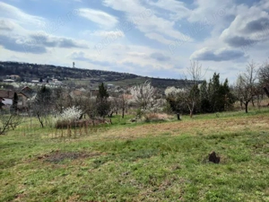 Teren intravilan - Paleu, Bihor - imagine 3