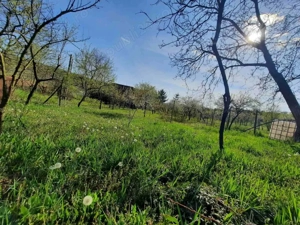 Teren intravilan - Paleu, Bihor - imagine 6