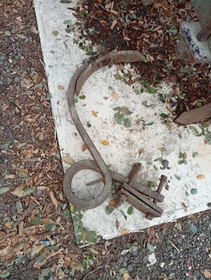 Vand dezmiristitor, combinator, scormonitor, cultivator, gruber - imagine 7