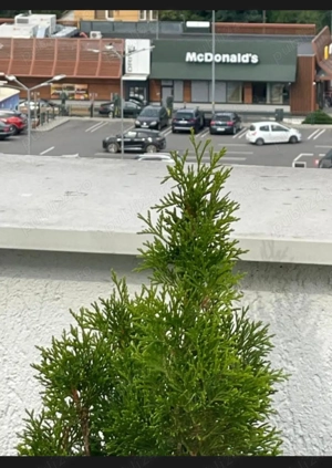 PENTHOUSE 80 m2 + 40 m2 terase 3 camere 2 bai parcare x 2 - imagine 9