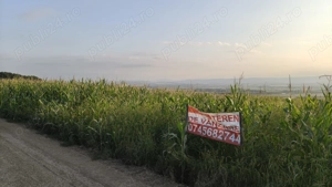 Teren intravilan 5700 mp, Vadu Moldovei - imagine 3