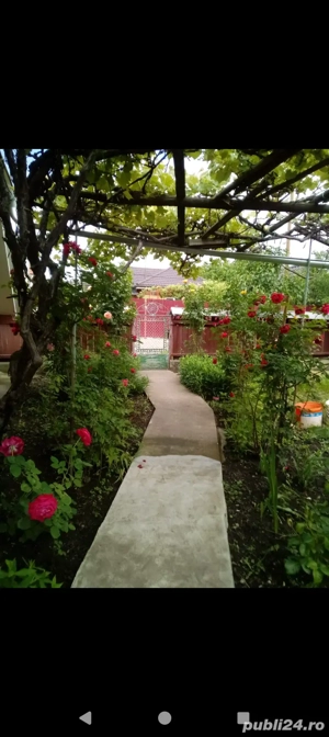 casa cu teren aferent - imagine 5