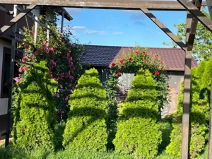 Casa, 4 camere, constructie 2021, teren 1000mp, Mehedinta, 275.000euro - imagine 8