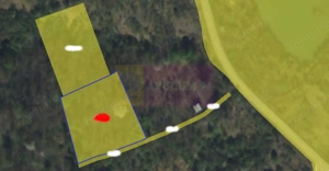 Teren intravilan de vanzare in Lunca Mare (la 10 km de Valea Doftanei) - imagine 3