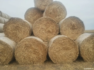 vand baloti de paie si tulei - imagine 3