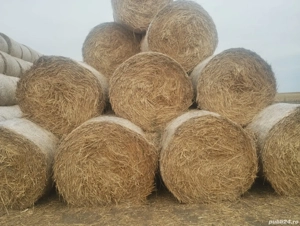 vand baloti de paie si tulei - imagine 2