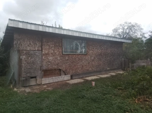 Magazie vând sau schimb cu auto 